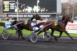 21/11/2009 VINCENNES PRIX PARIS TURF (PRIX DE BRETAGNE) - CI - G2 TROT ATTELE;TIERCE ECURIE SPORT;BAUDE Sebastien;COUEFFIN Roger ORLANDO SPORT  | 21112009LOLO000128 042202_003