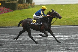 cheval1234